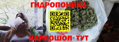 спиды Волжск