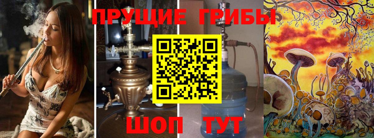 Псилоцибиновые грибы Psilocybe Аргун